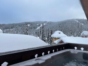 Un jacuzzi con un paisaje nevado al fondo.