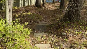 Un chalet rustique, agrémenté d’un panneau indiquant « PROPRIÉTÉ PRIVÉE – DÉPASSEMENT INTERDIT », entouré d’arbres et offrant une vue sur un lac.