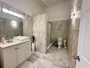Shower, hair dryer, towels
