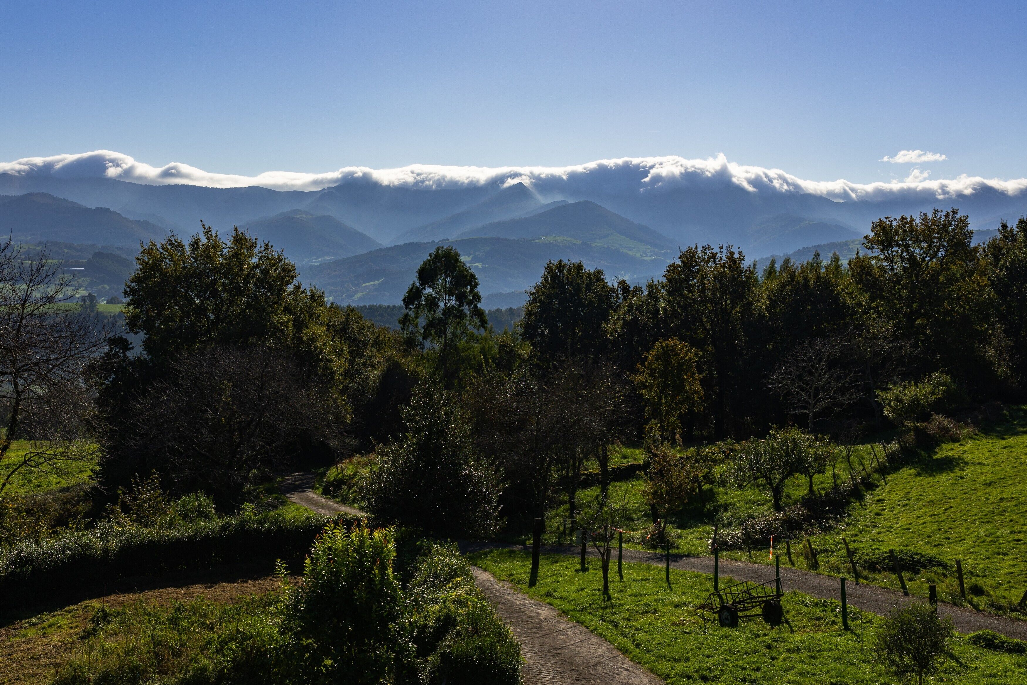 Un paysage rural avec un chemin de terre, des arbres et des montagnes lointaines sous un ciel dégagé.