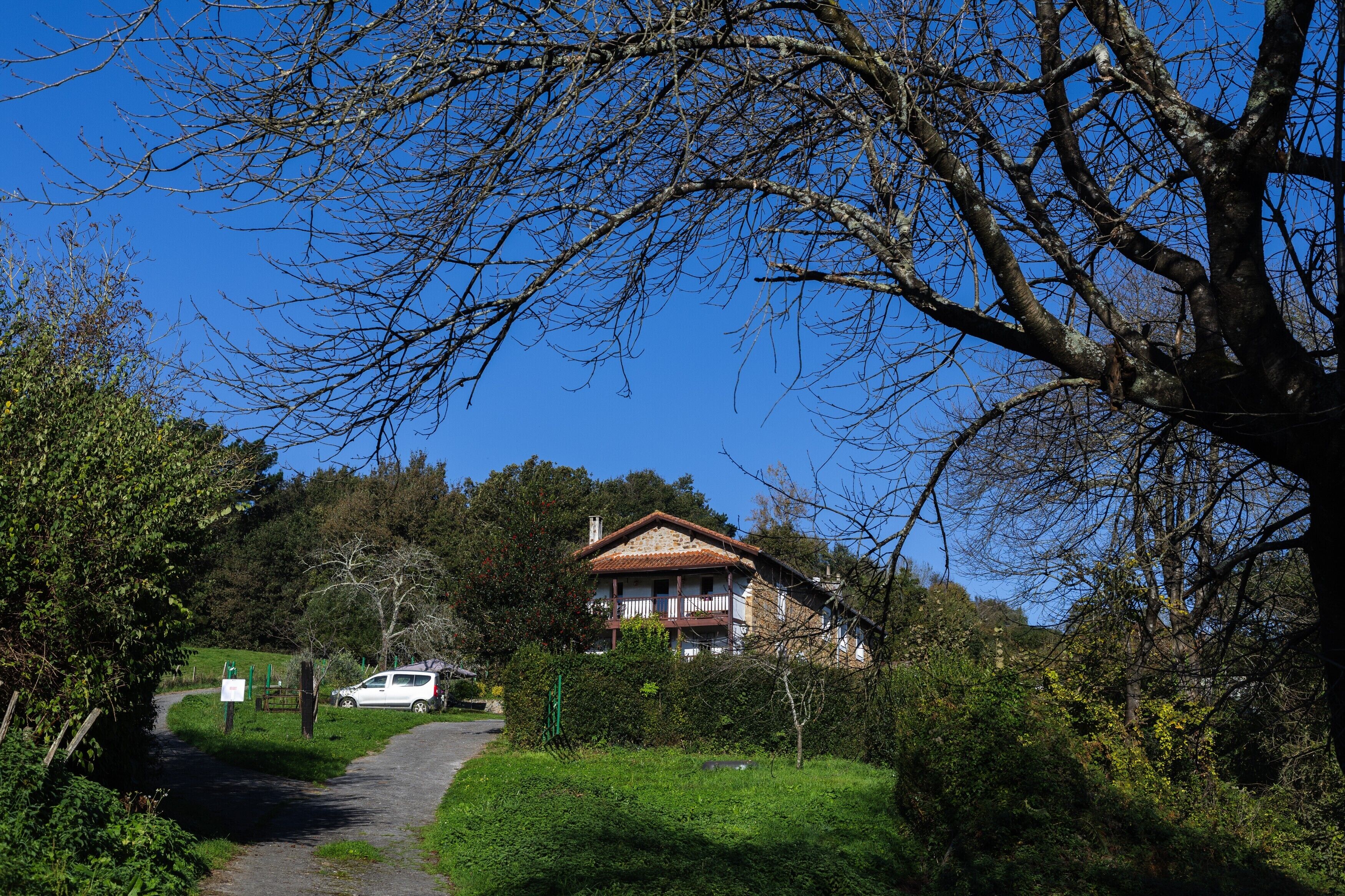 Una casa con un sendero que la lleva, rodeada de árboles y follaje.