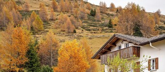 Apartment 'La Baita Verde' with Mountain View