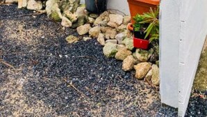 A white wooden fence with potted plants and rocks on the ground.