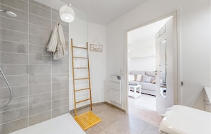 Shower, hair dryer
