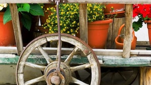 Une charrette en bois rustique, dotée d’une grande roue et d’un manche en métal.