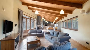 Televisio, takka, DVD-soitin, pöytätennispöytä