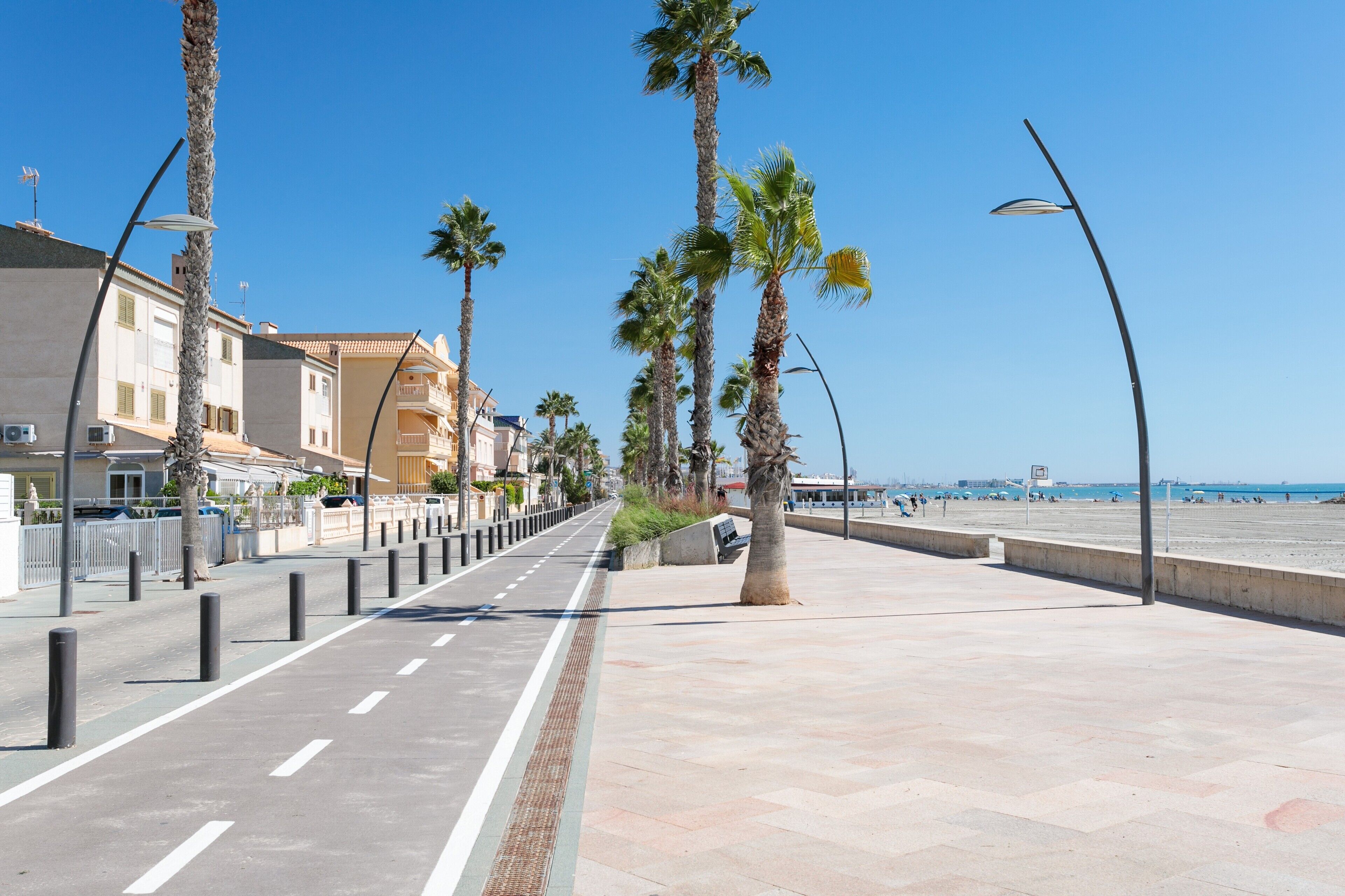 A coastal promenade with palm trees, a clear sky, and buildings in the background.