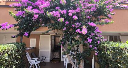 Ferienhaus 'Villetta Indipendente Castiglione' mit privater Terrasse, privatem Garten und Wi-Fi