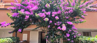 Holiday Home 'Villetta Indipendente Castiglione' with Private Terrace, Private Garden and Wi-Fi