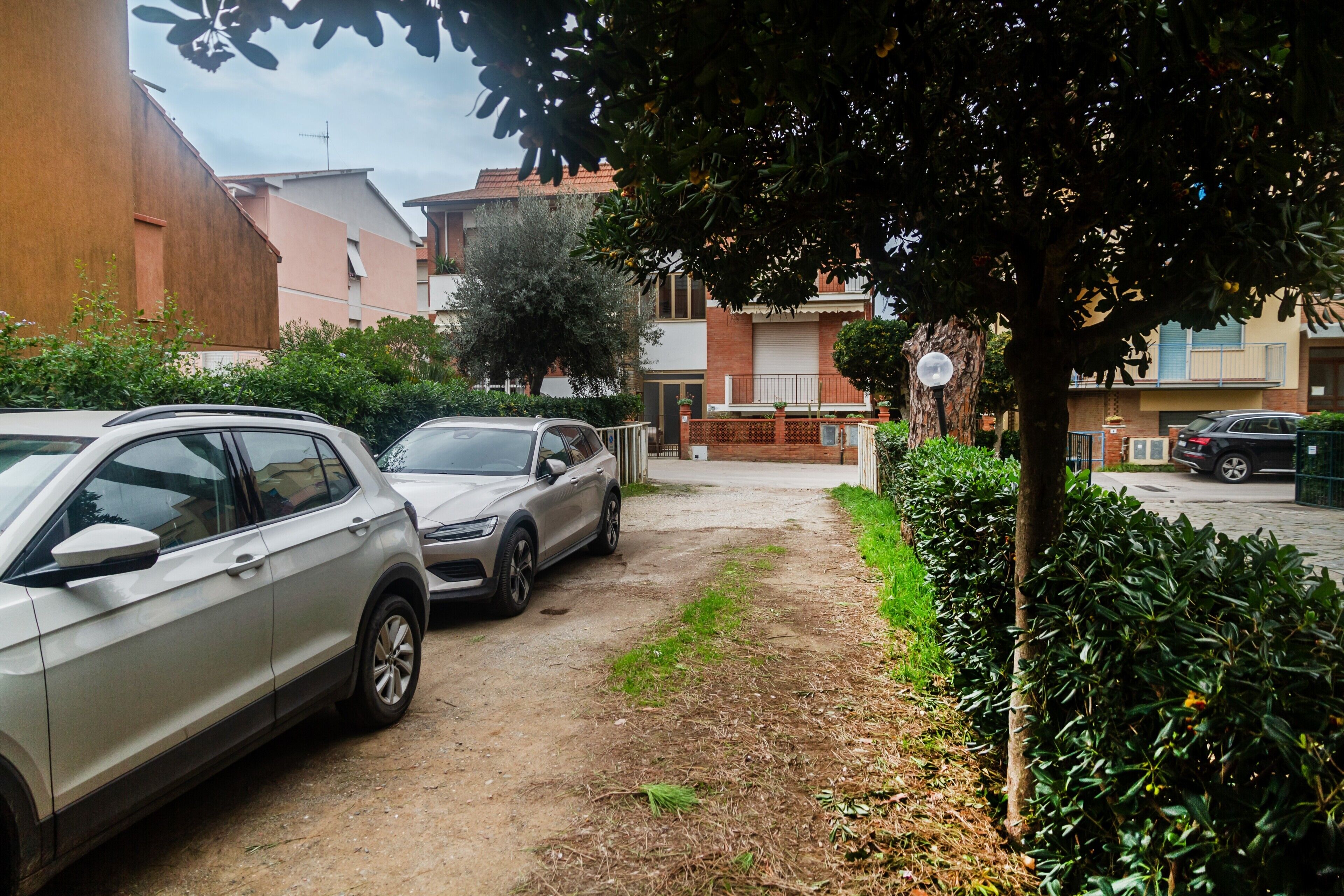 Eine Wohnstraße mit parkenden Autos und einem von Bäumen gesäumten Weg.