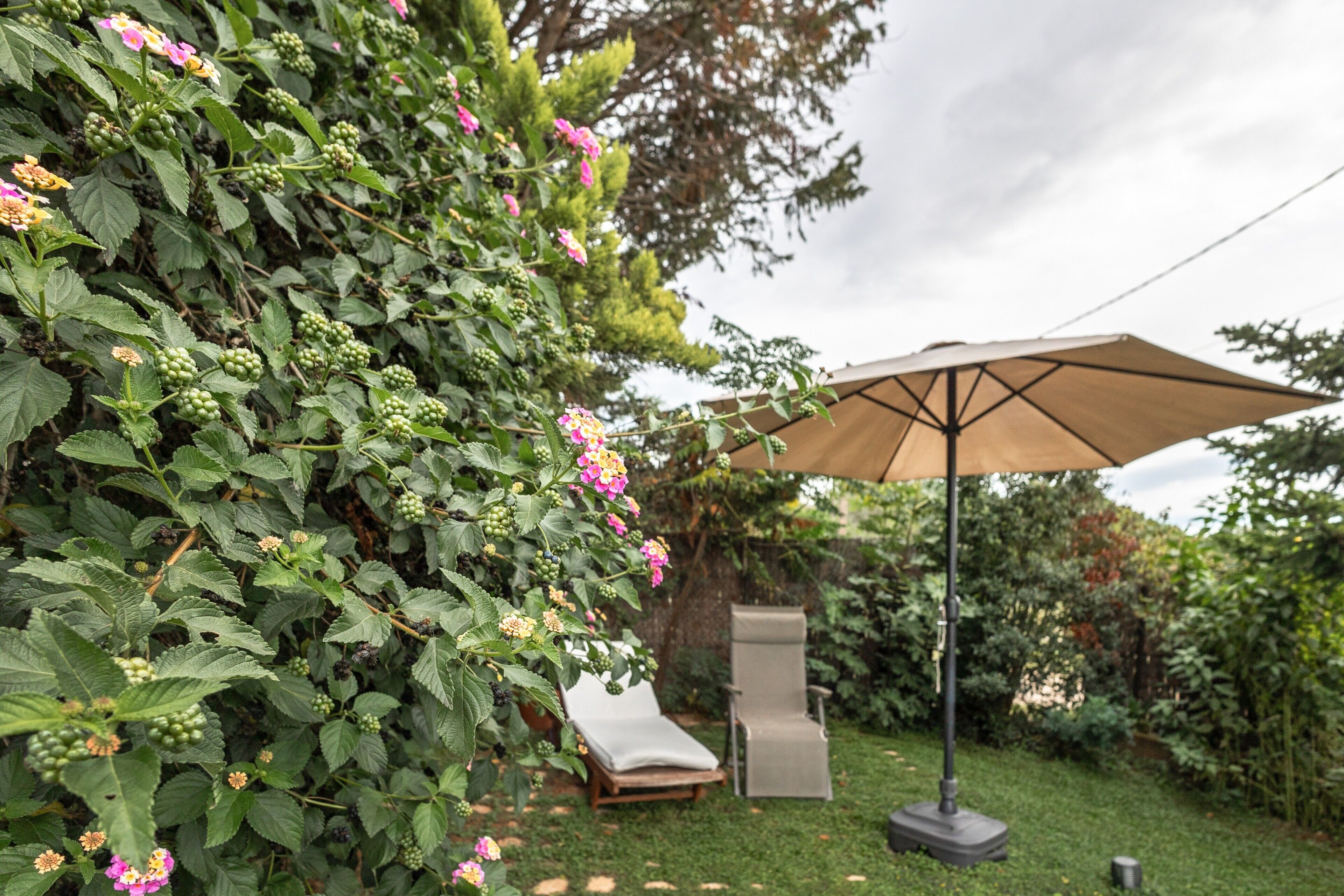 Jardín con una silla de descanso y sombrilla, rodeado de follaje y plantas florecientes.