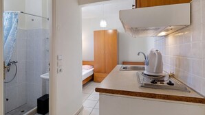 A compact kitchen with a kettle, a sink, and a shower area. - Studio Apartment 'S8' with Sea View, Wi-Fi and Air Conditioning (Lefkada)