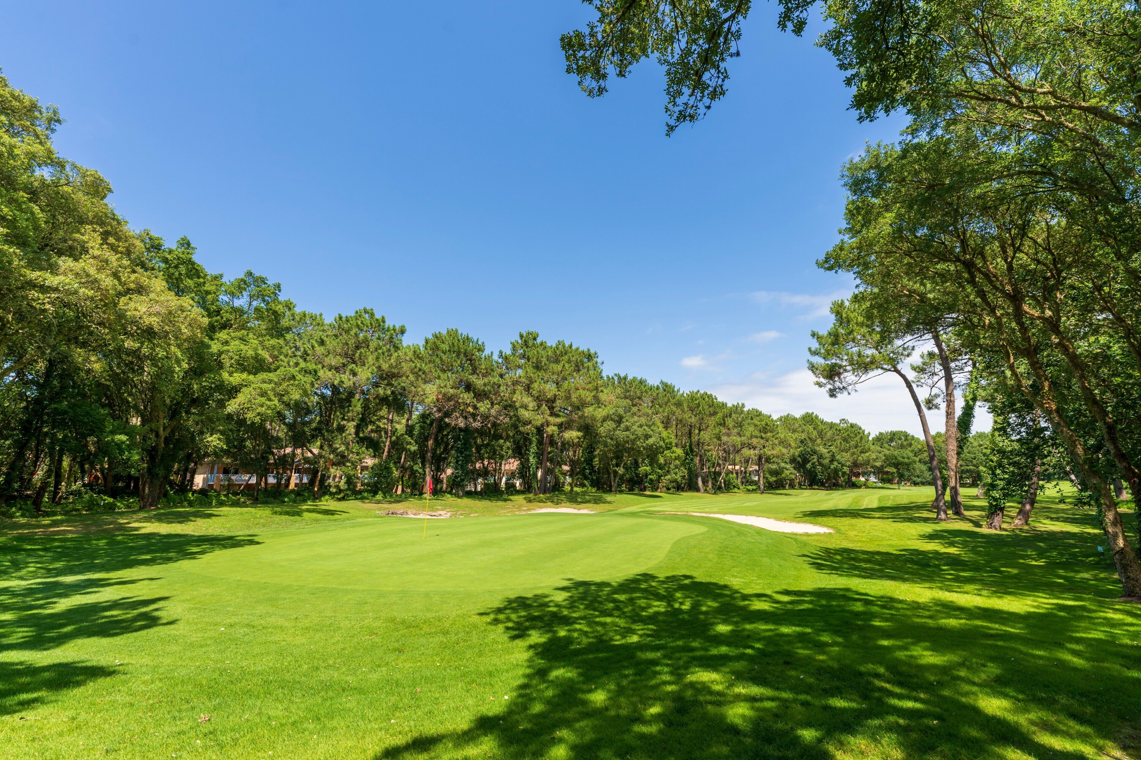 A golf course with a clear sky, lush green grass, and trees.