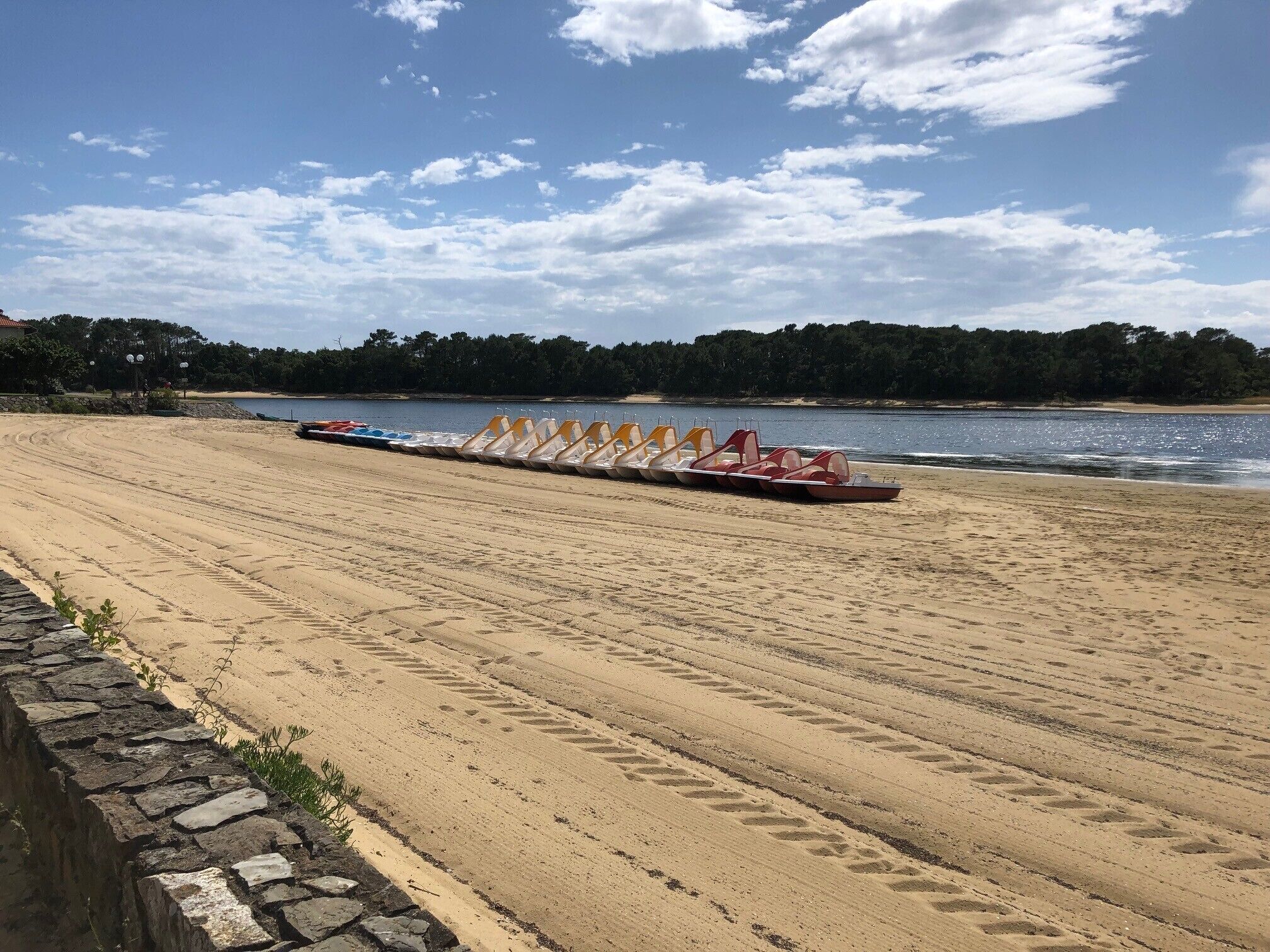 A beach with a row of paddle boats lined up on the sand, a clear sky, and a calm body of water in the background.
