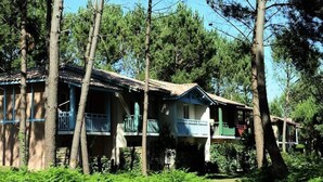 Una casa a due piani con un balcone, immersa tra alberi e felci.