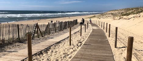 Playa en los alrededores