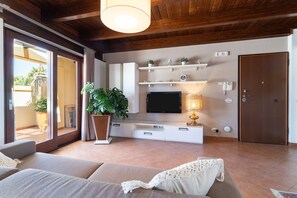 TV