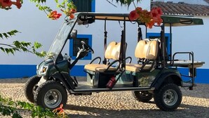 A golf cart parked on a gravel path with a building in the background.