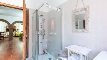 Shower, hair dryer, towels