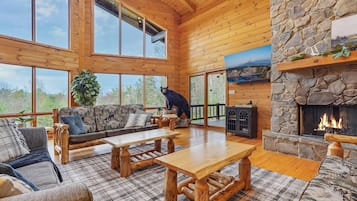 Smart TV, fireplace, books