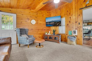 TV, fireplace, books