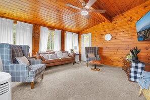 TV, fireplace, books