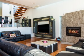 Télévision, cheminée, lecteur de DVD, chaîne hi-fi