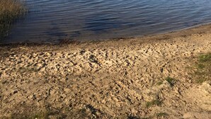 Selkeä näkymä järvelle, jossa on hiekkaranta ja kauempana näkyviä puita.