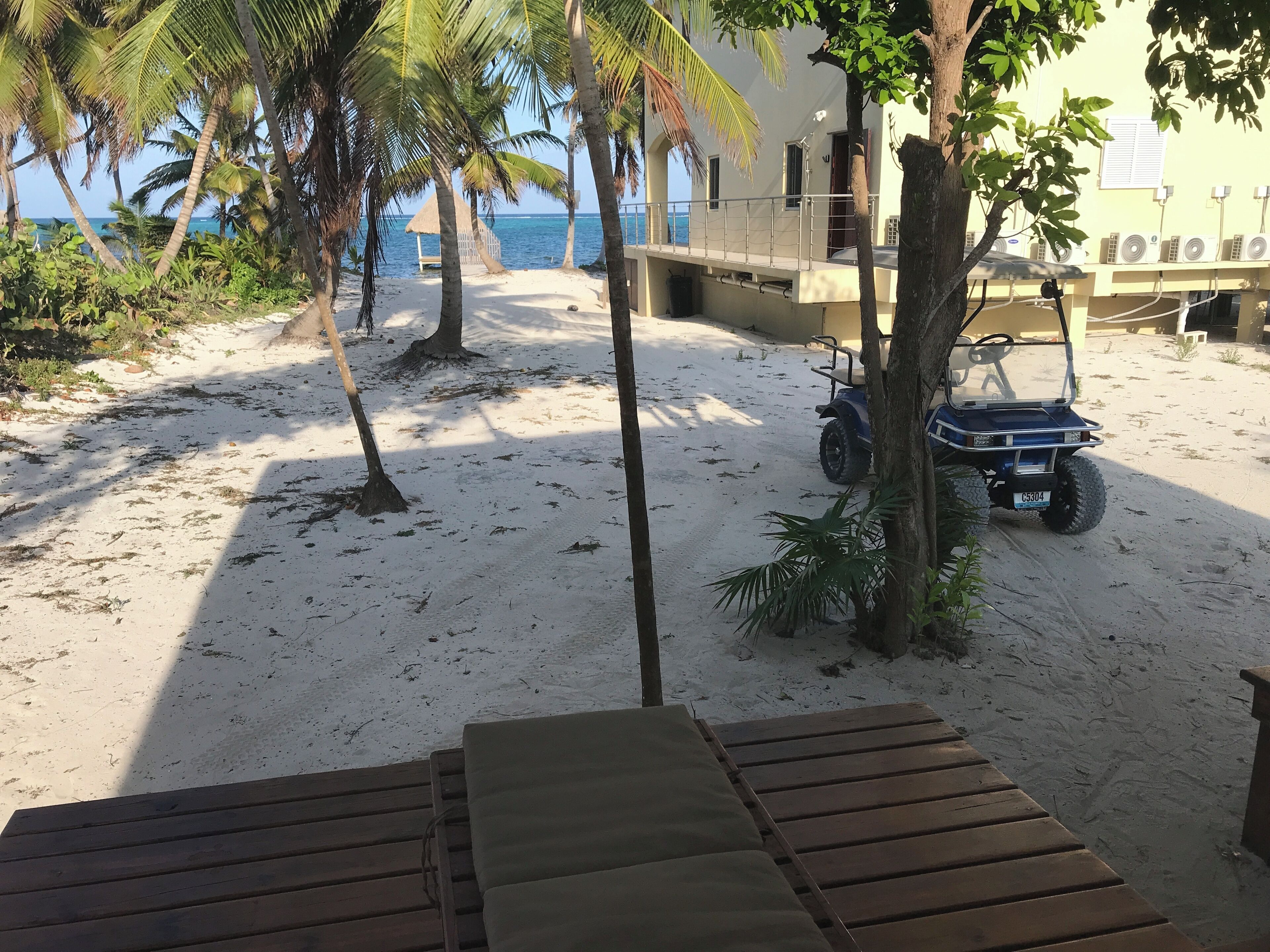 Een strand met een palmboom, een golfkar en een gebouw met airconditioning.