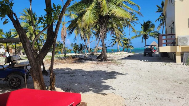 Una playa con palmeras, un buggy de dunas y un edificio con balcón con vistas al océano.