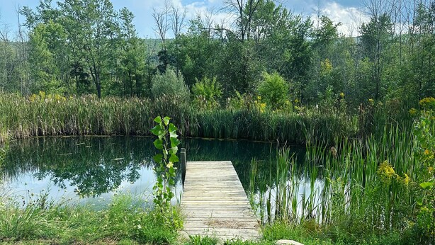 Une jetée en bois qui s’avance sur un lac paisible, entouré d’une v égétation luxuriante et d’arbres.