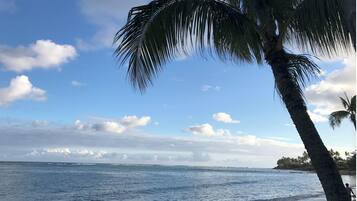 在海滩、沙滩毛巾