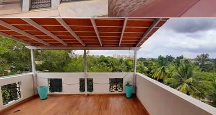 Nature Stay around coconut trees