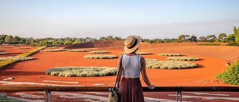 A person standing by a railing overlooking a landscape with red earth and green vegetation.