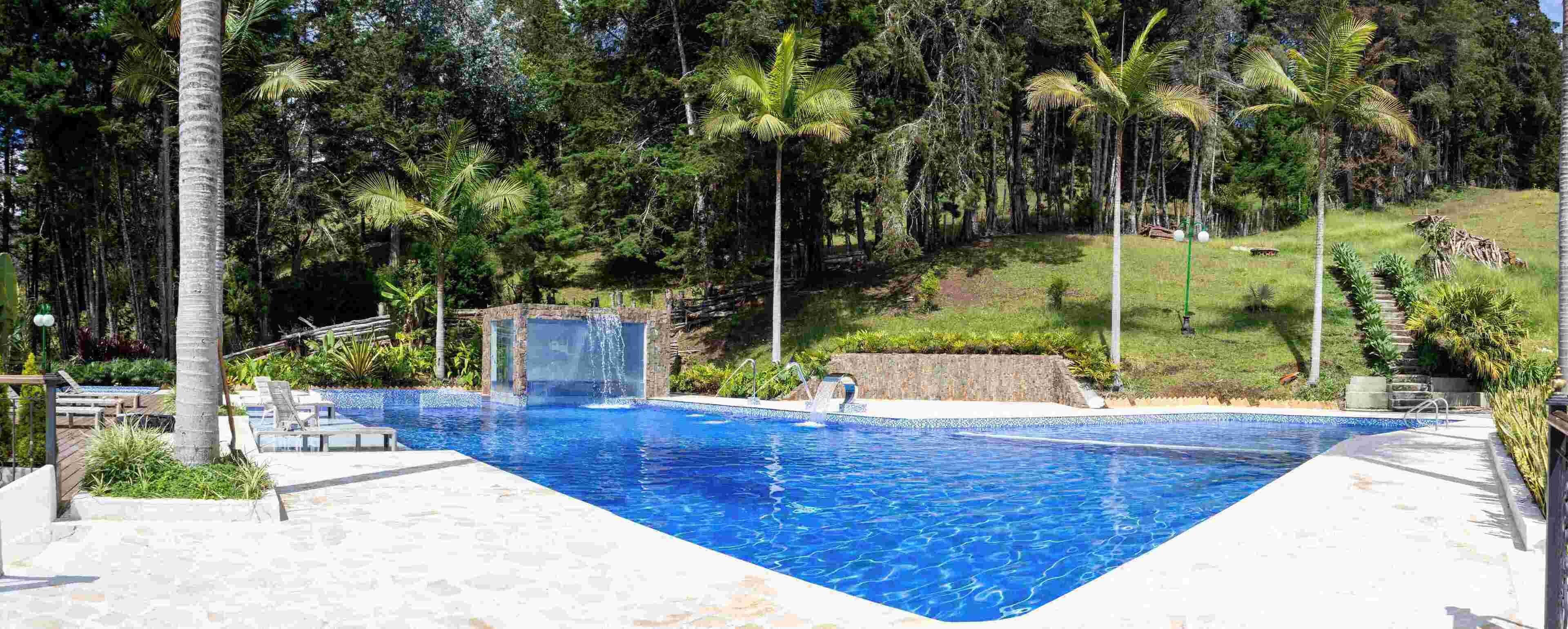 A rectangular swimming pool with a waterfall feature, surrounded by palm trees and a grassy hill.