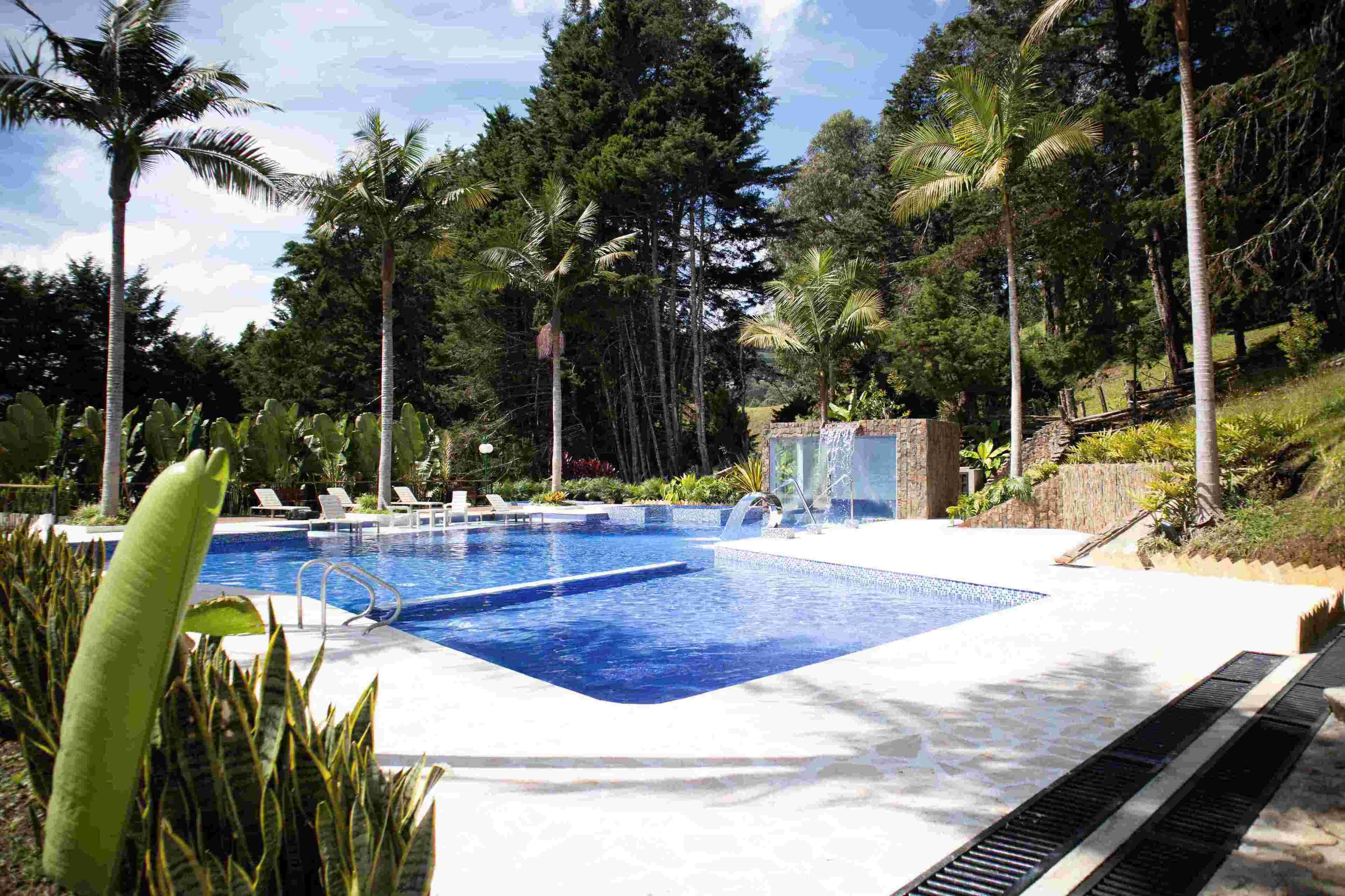A swimming pool surrounded by palm trees and a stone structure.