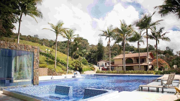 A swimming pool with tiled edges, surrounded by lounge chairs and palm trees.
