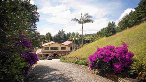 A cobblestone path leading to a house with a tiled roof, surrounded by lush greenery and vibrant pink bougainvillea flowers.