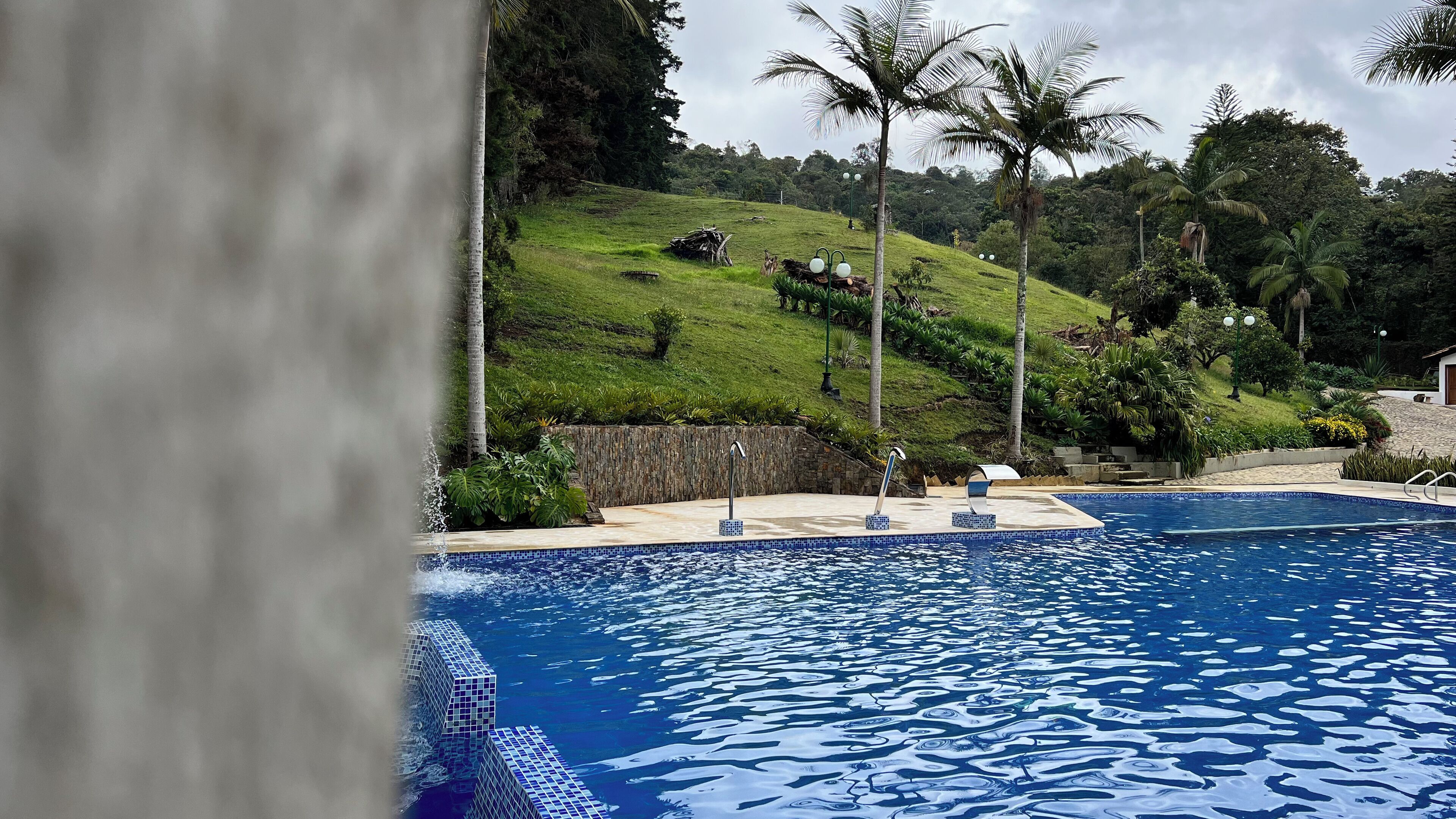 A swimming pool with a tiled edge, surrounded by a landscaped area with palm trees and a grassy hill in the background.