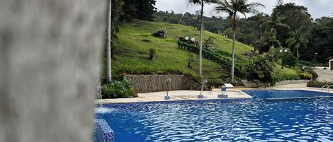 A swimming pool with a tiled edge, surrounded by a landscaped area with palm trees and a grassy hill in the background.