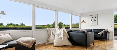 تلفزيون، مدفأة