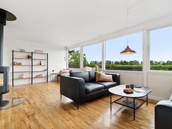 تلفزيون، مدفأة