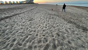 Ein Strand mit einer Person, die einen Hund ausführt, einem Hund und einem Gebäude im Hintergrund.
