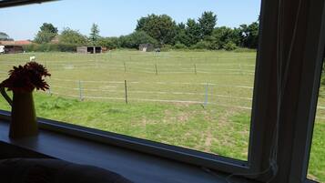 A room with a large window overlooking a fenced outdoor area with grass and trees.