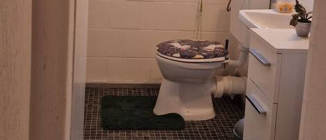 Regadera, secadora de cabello, toallas, jabón