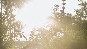 Vila superluxo, varanda, vista para o jardim | Terraço/pátio