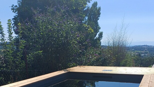 Ein rechteckiger Pool mit umlaufender Holzterrasse, vor einer Kulisse aus Bäumen und weiter Landschaft.