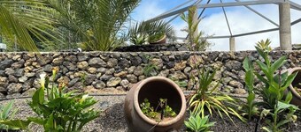 ECOLIFE TENERIFE HOUSES
