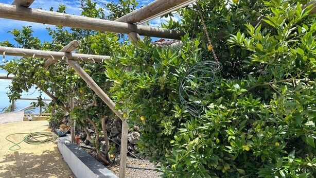 Um jardim com uma pérgola de madeira, um vaso de concreto e uma mangueira enrolada no chão.