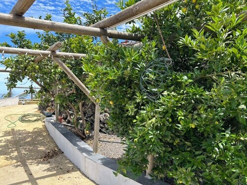 ECOLIFE TENERIFE HOUSES